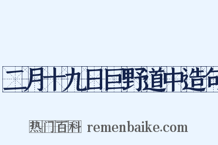 二月十九日巨野道中造句是什么意思的图片